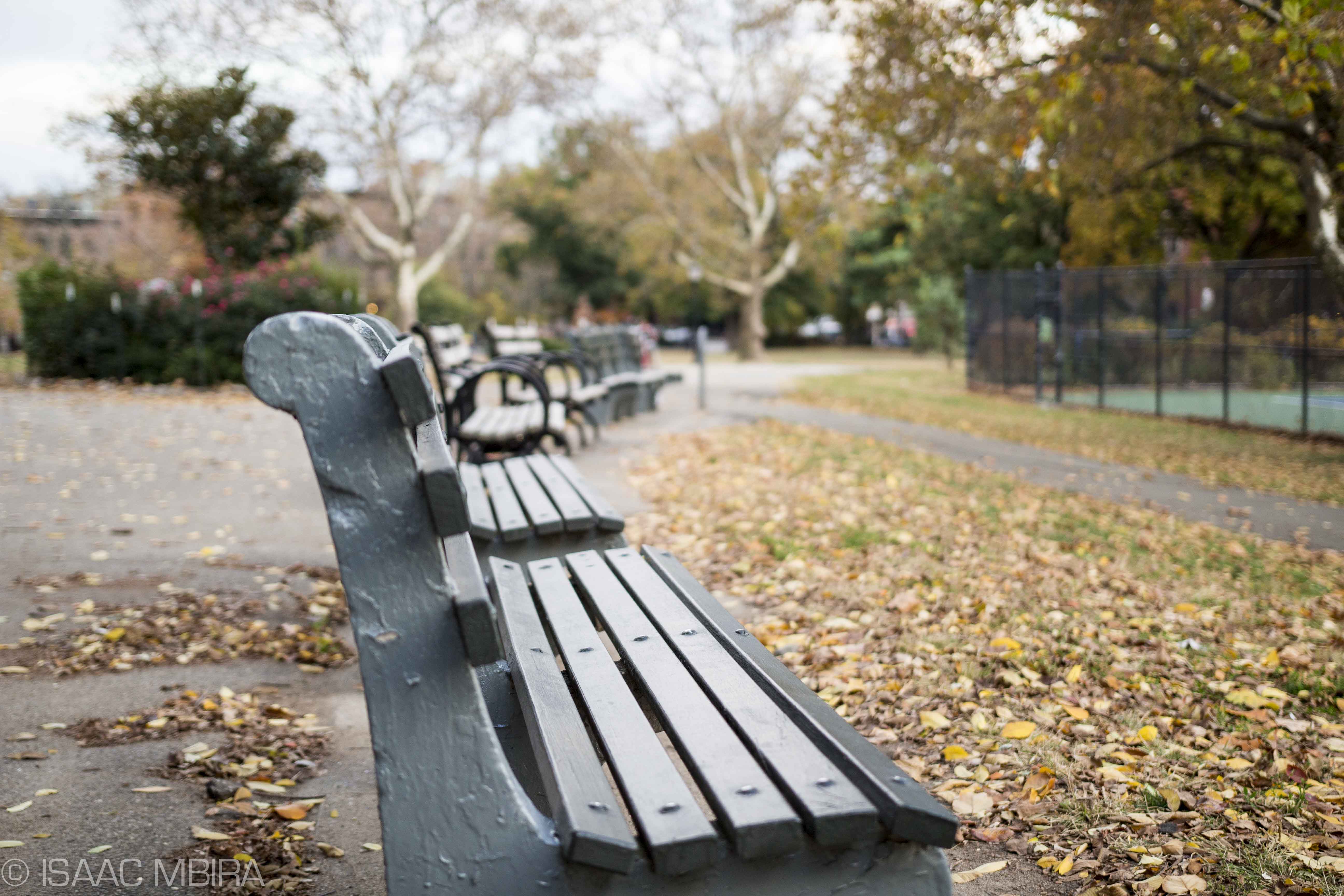 Park benches