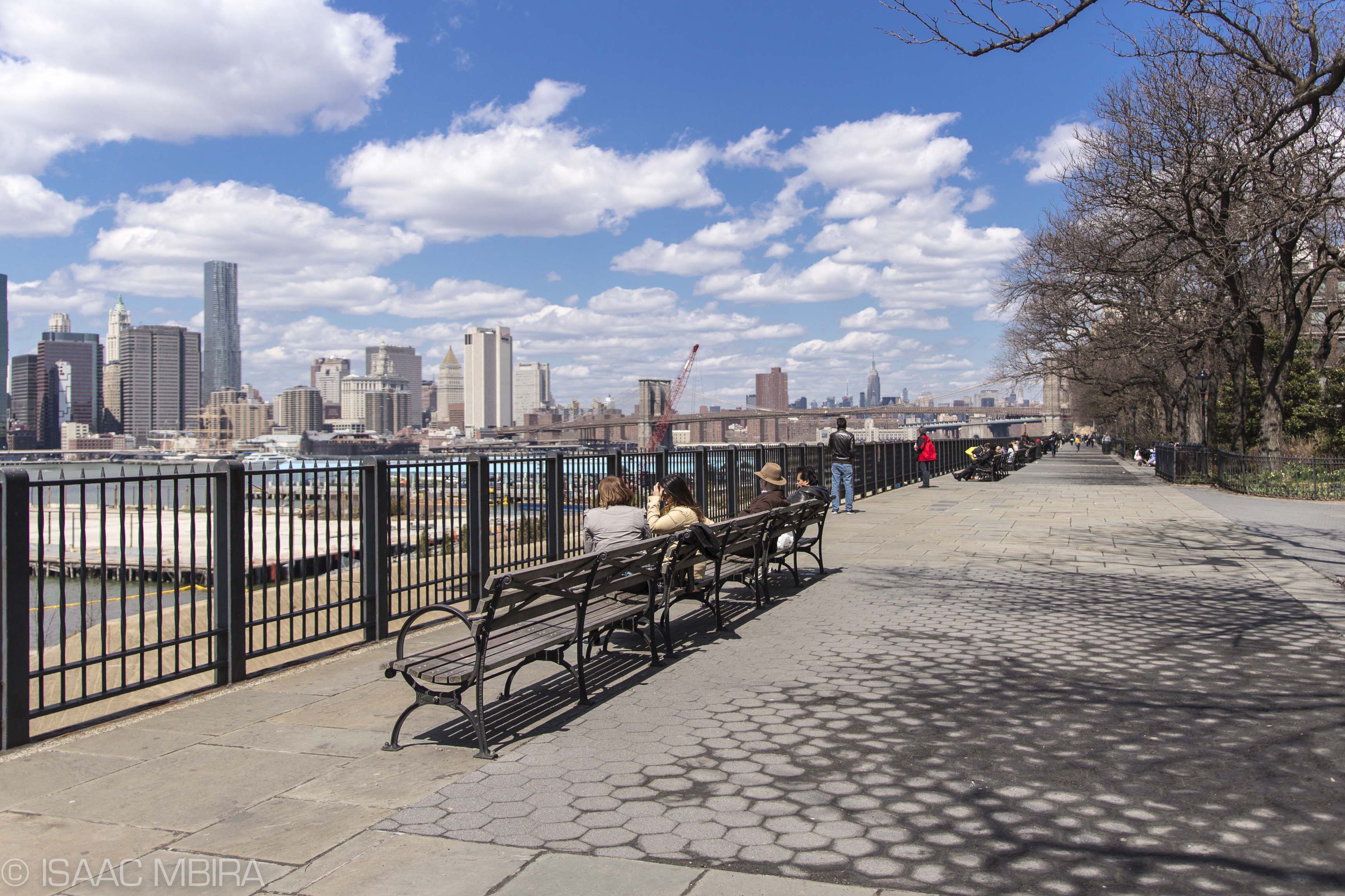 Image of the Brooklyn Heights Promenade