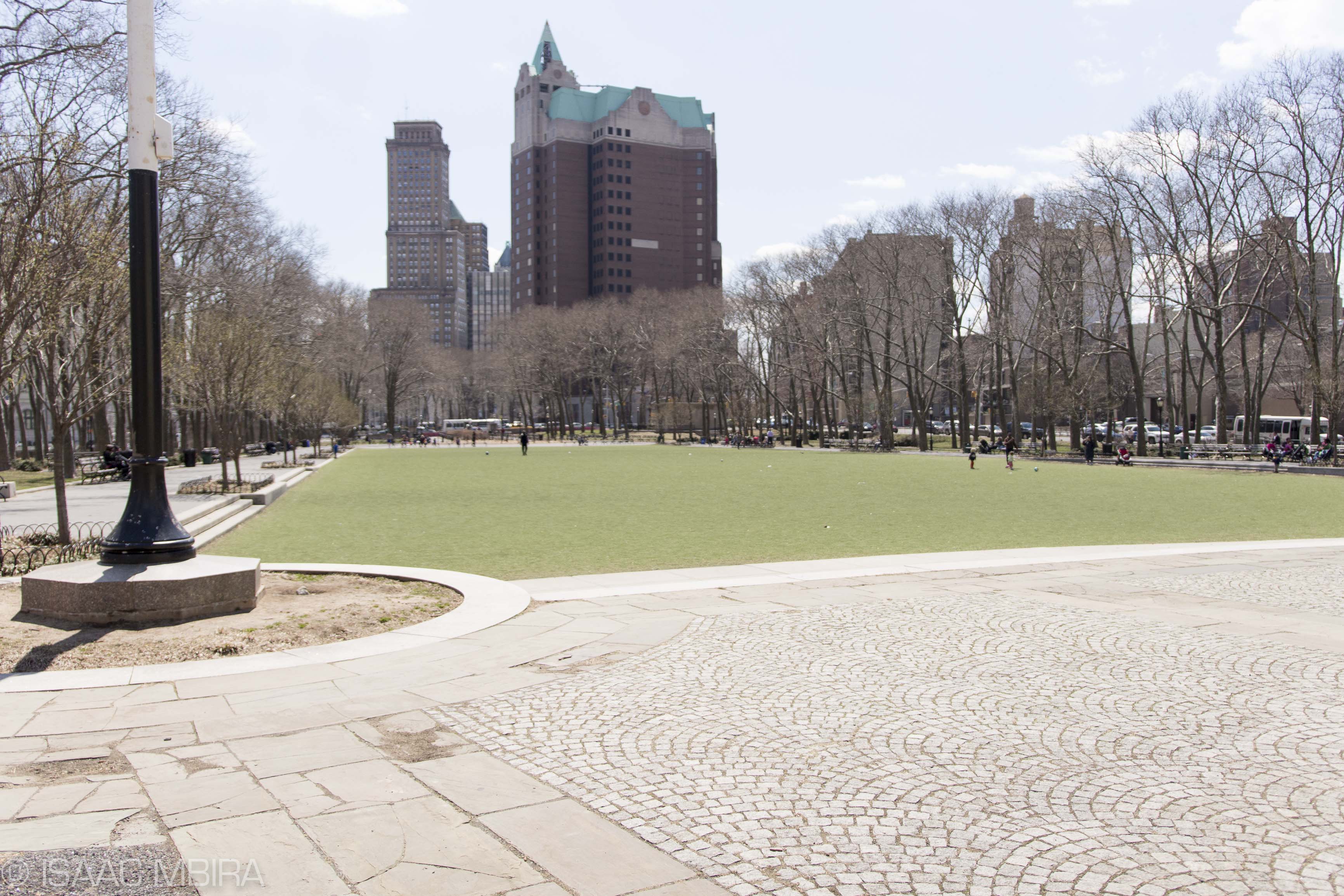 Cadman Plaza Park turf