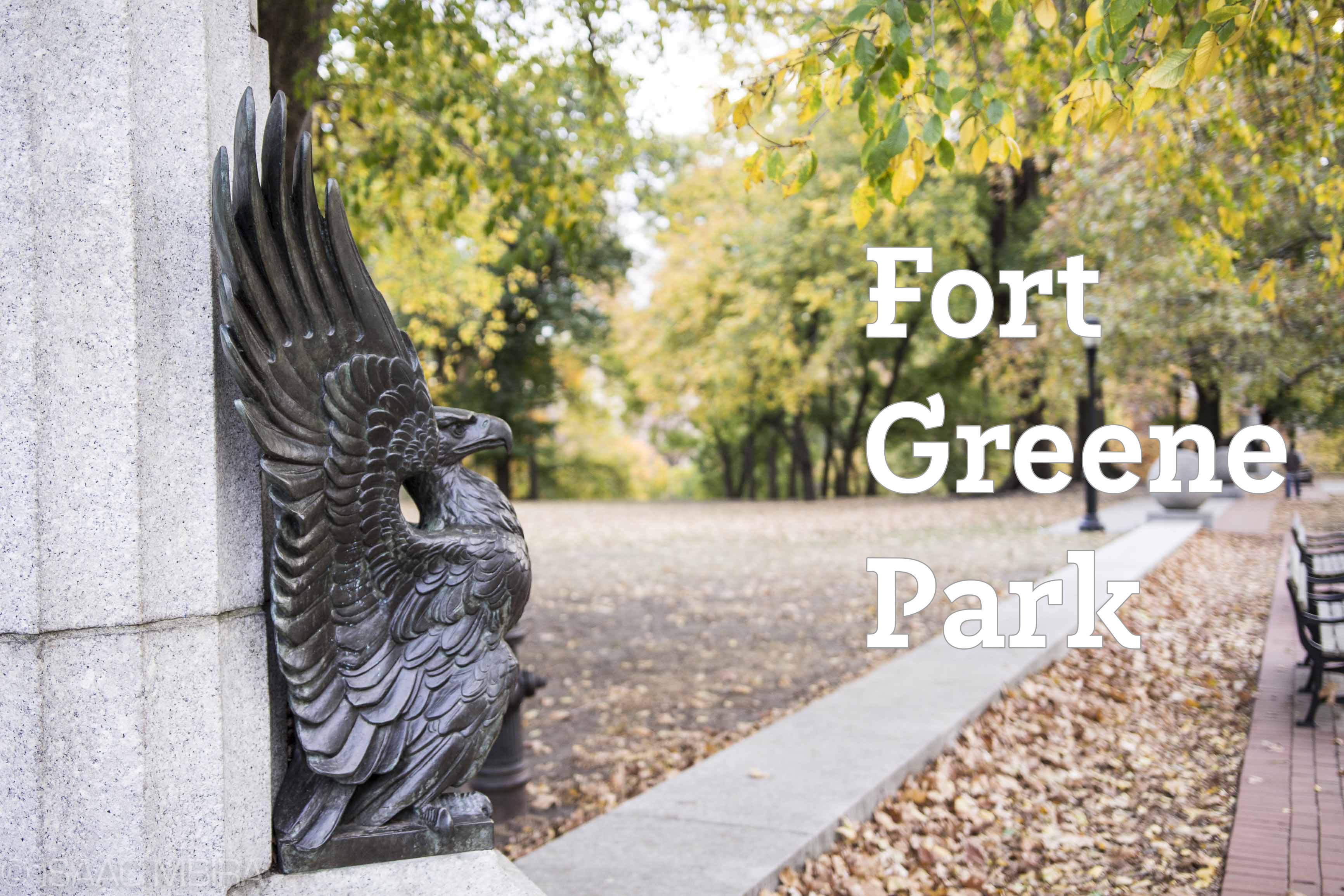 Fort Greene Park Eagle