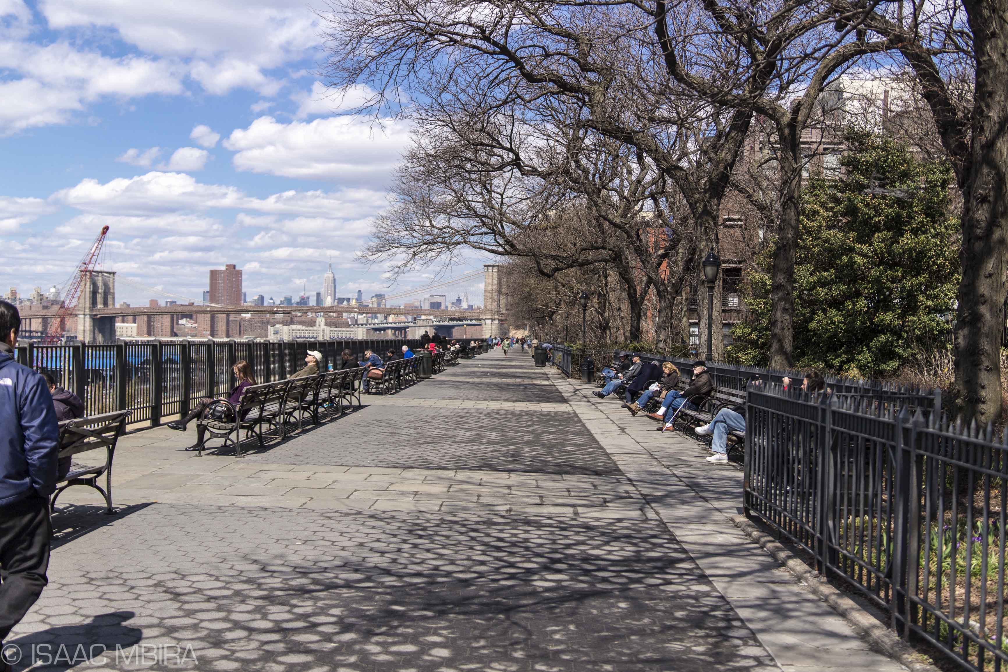 Image of the Brooklyn Heights Promenade